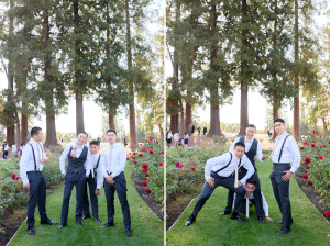 Municipal Rose Garden, San Jose Bay Area Wedding Photography